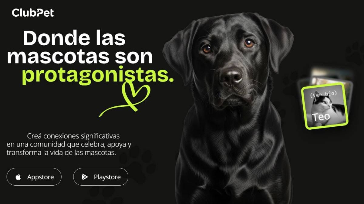 Una noche en el Pacífico: adopción, una app neuquina y un partido de básquet para cerrar la jornada