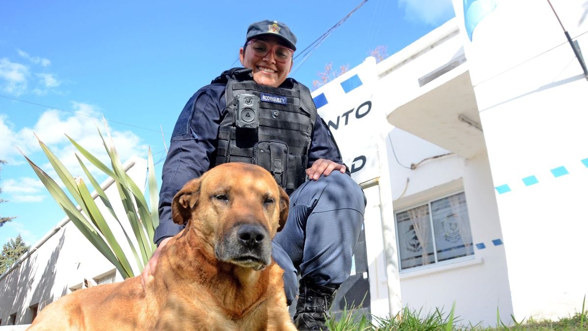 Puchero, el perro que nunca se fue: una década patrullando las calles de Neuquén con los bicipolicías