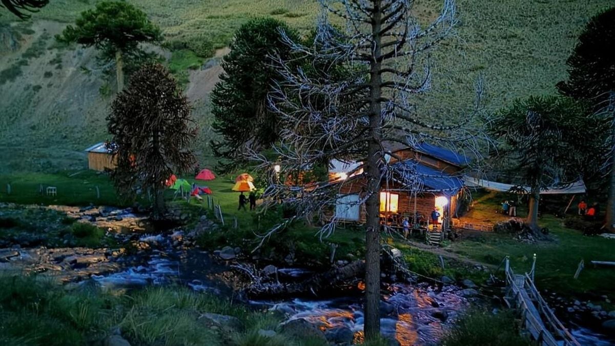 Lonquimay abre la puerta: el geoparque de la Patagonia chilena busca manos voluntarias para 2026