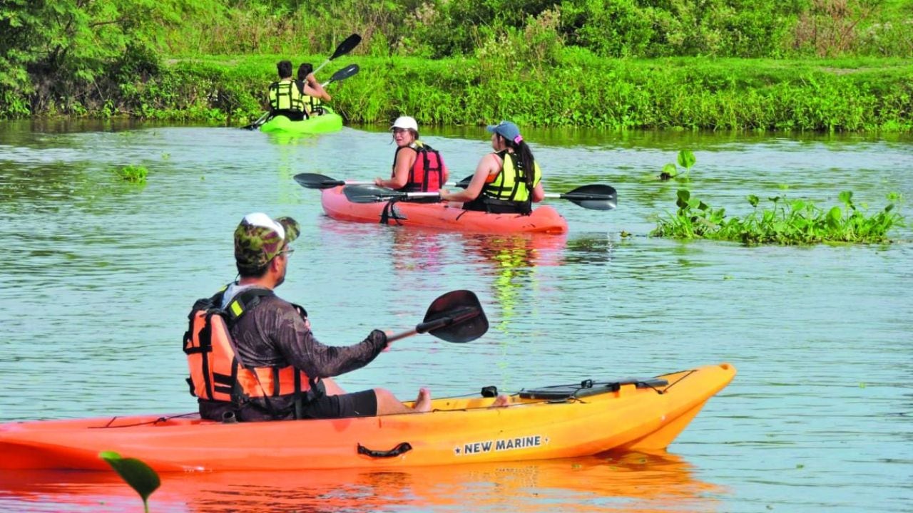 Santa Fe sobre el agua: kayak por la laguna Setúbal con base en Arroyo Leyes