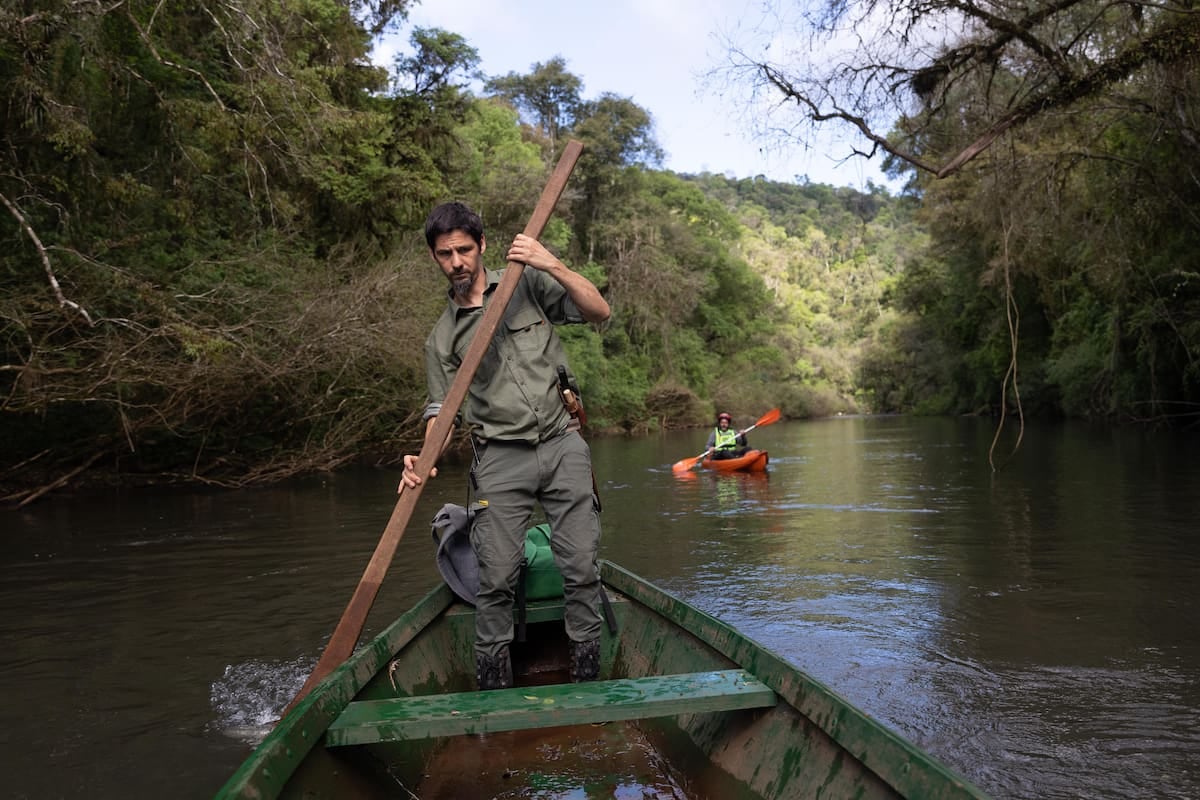 Margay, una reserva misionera que combina cabañas frente al agua, kayak y senderos por la selva paranaense
