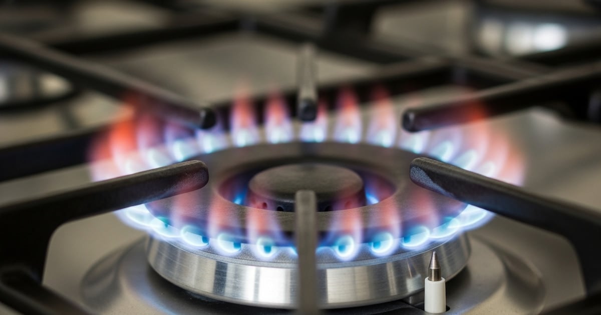 Subsidios y tarifas: cuánto pagaron en agosto las familias del AMBA por luz, gas y colectivo