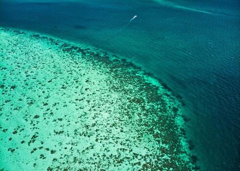 Cayo Ambergris, la puerta caribeña de Belice donde el mar y el arrecife se cruzan a pocas horas de Buenos Aires