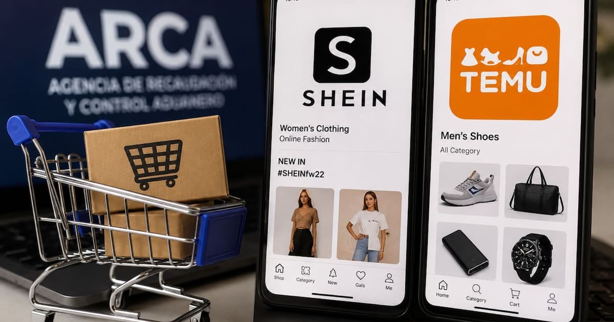 Compras en Shein y Temu: por qué cambiar de tienda no libera el cupo de envíos anuales