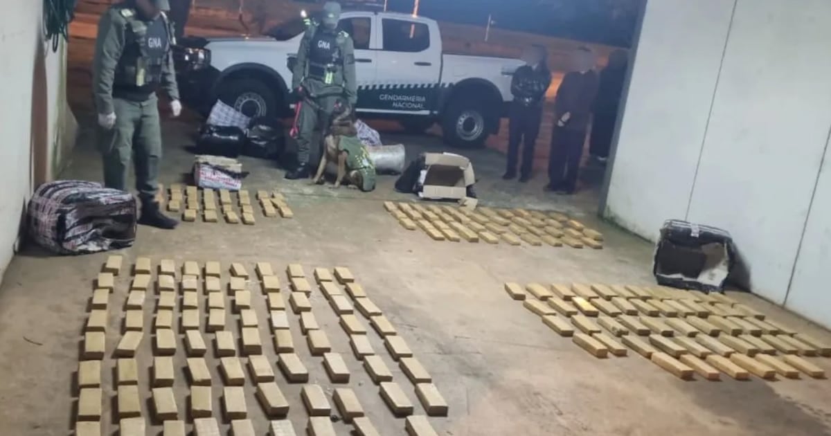 Secuestran 142 kilos de marihuana en un micro de larga distancia que iba de Iguazú a Buenos Aires