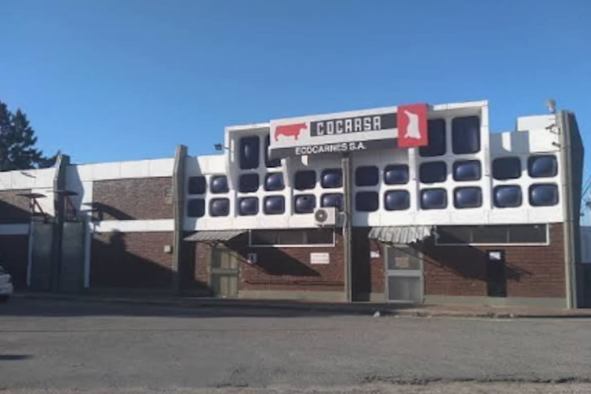 San Fernando bajo la garúa: la carne que se faena a medias y un gremio que pelea por la obra social y el salario