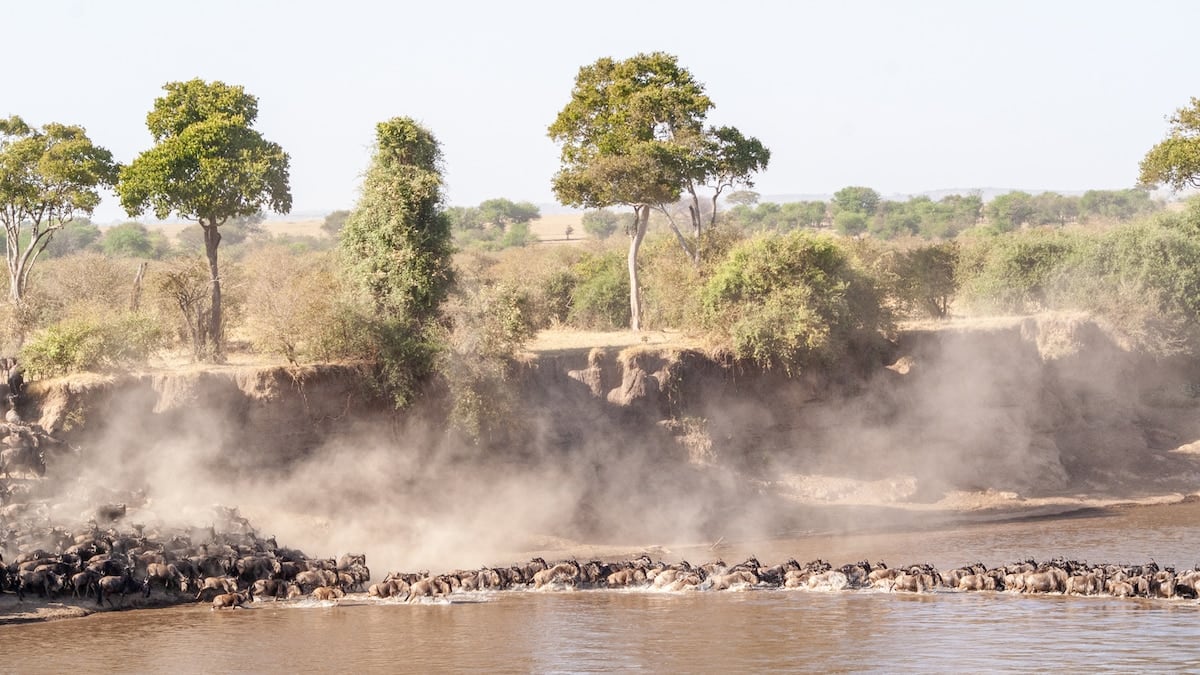 Norte de Tanzania: un itinerario entre baobabs, llanuras y un cráter habitado por 25.000 animales