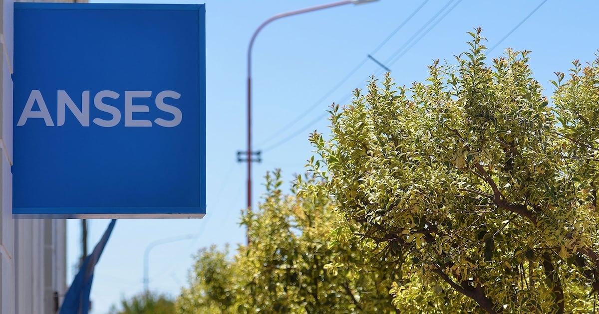 Calendario de pagos de ANSES para DNI terminado en 2: cuánto cobrarán jubilados, pensionados y titulares de asignaciones en octubre