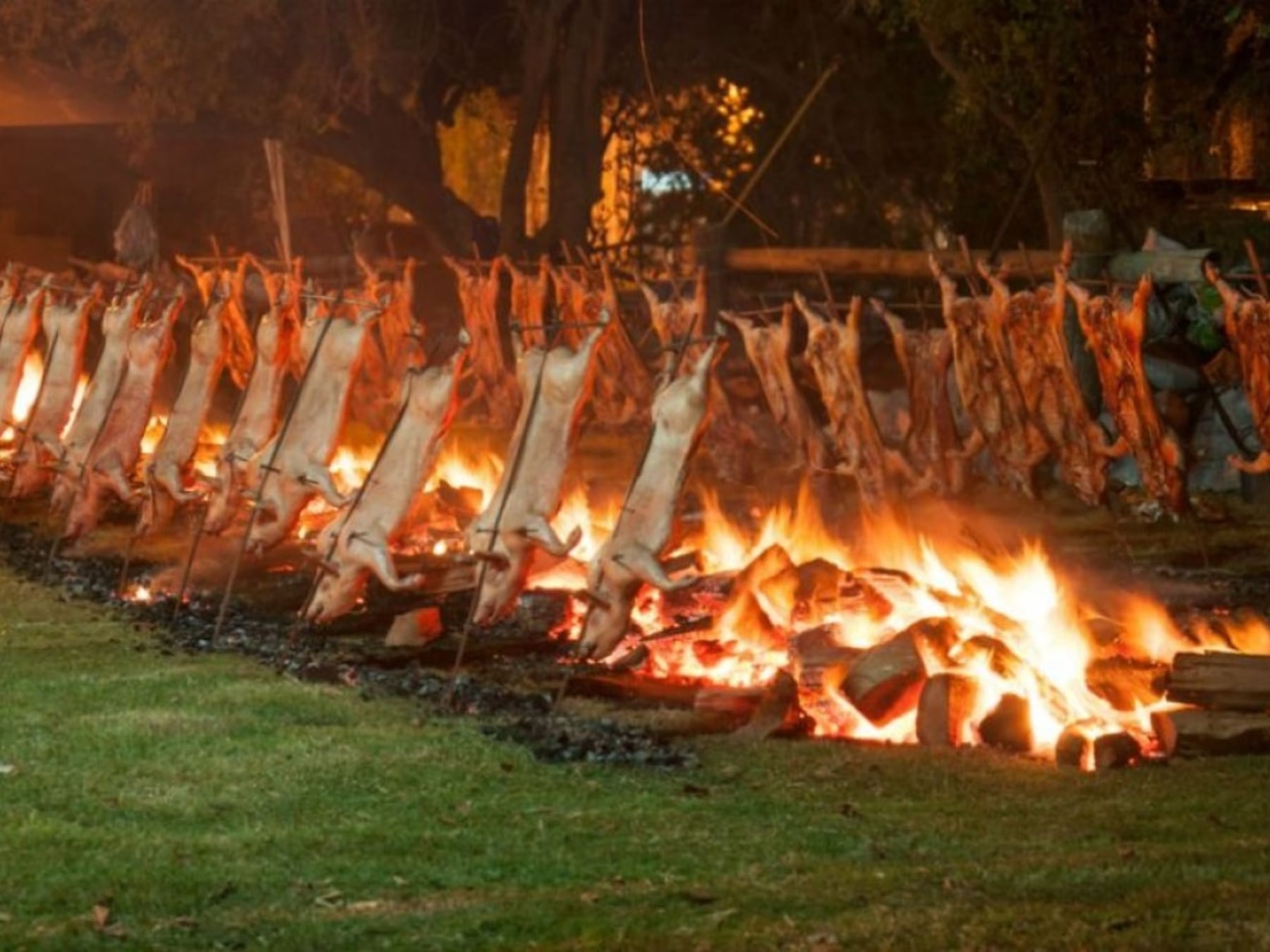 Una semana para recorrer la provincia a mesa servida: fiestas, ferias y tradiciones del 10 al 12 de octubre