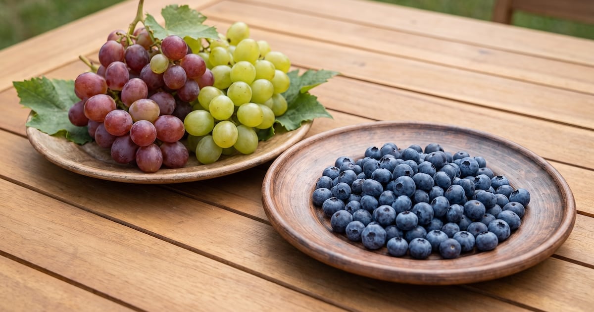 Arándanos y uvas, mano a mano: cuál le juega mejor a la glucosa y por qué la compañía en el plato cambia todo