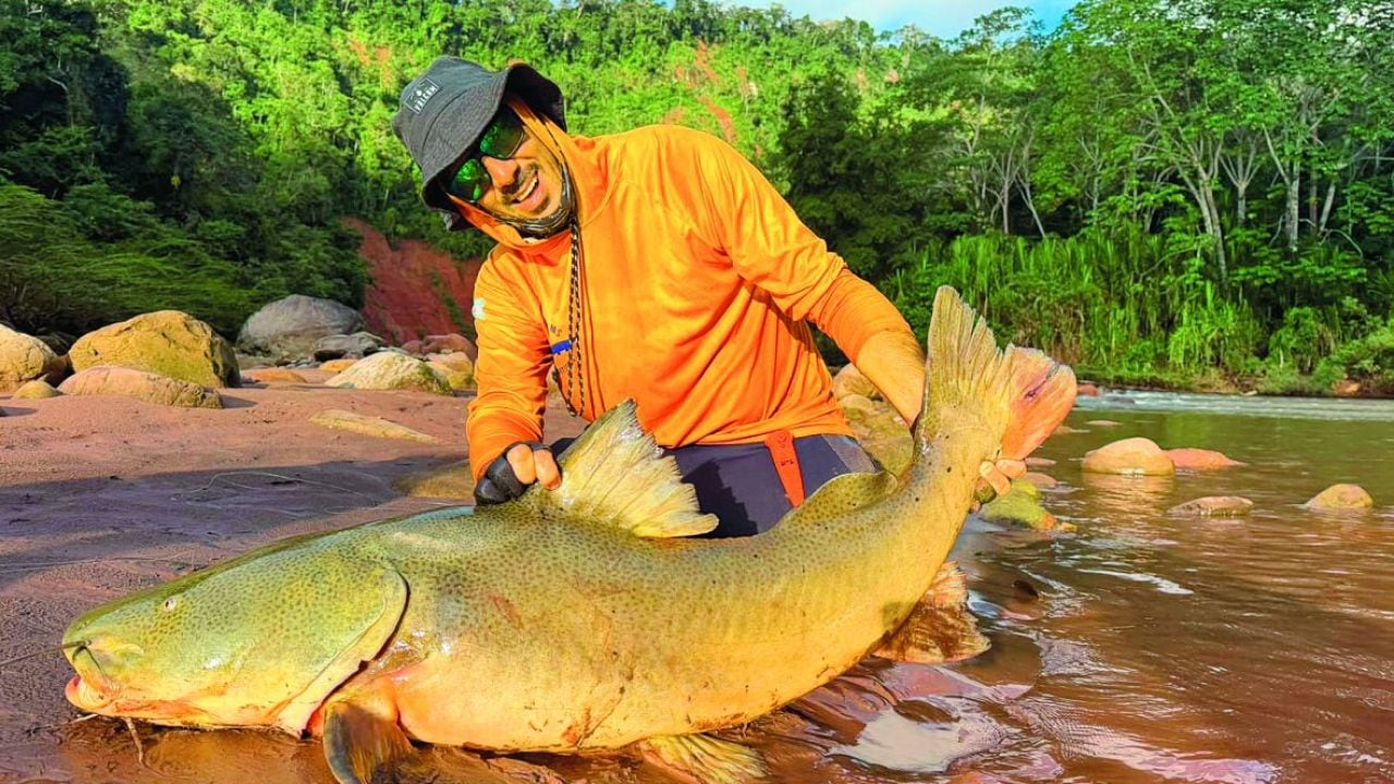 Pesca en el corazón amazónico de Bolivia: un corredor fluvial de 350 kilómetros con quince especies y piezas de 25 kilos