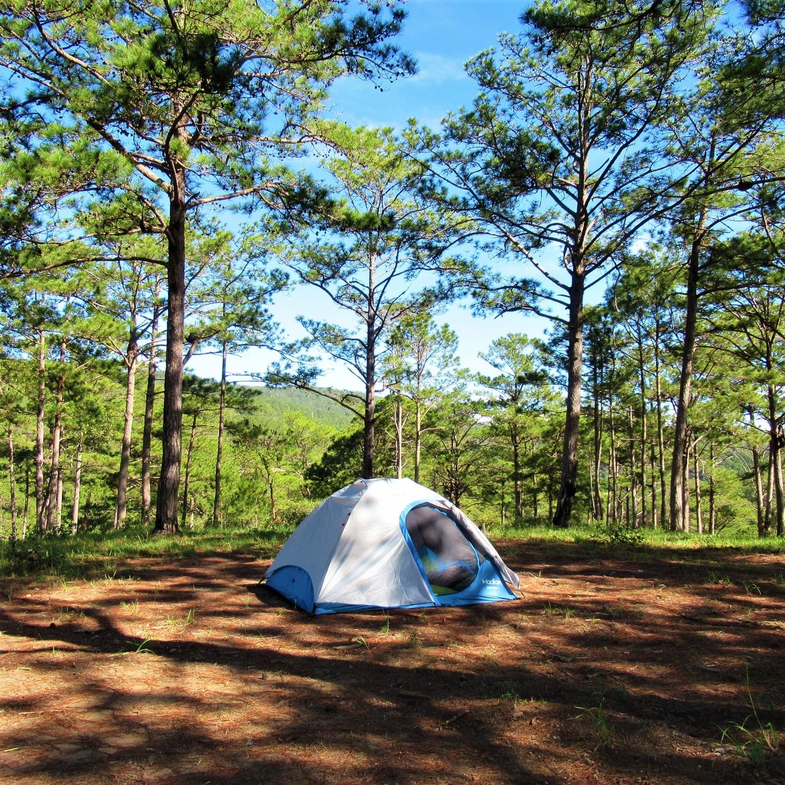 Mar Azul recibe en diciembre al primer camping Huttopia de Latinoamérica, con 55 hectáreas de bosque y 240 parcelas