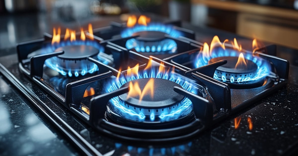El ajuste oficial al subsidio del gas alcanza a 3,35 millones de hogares